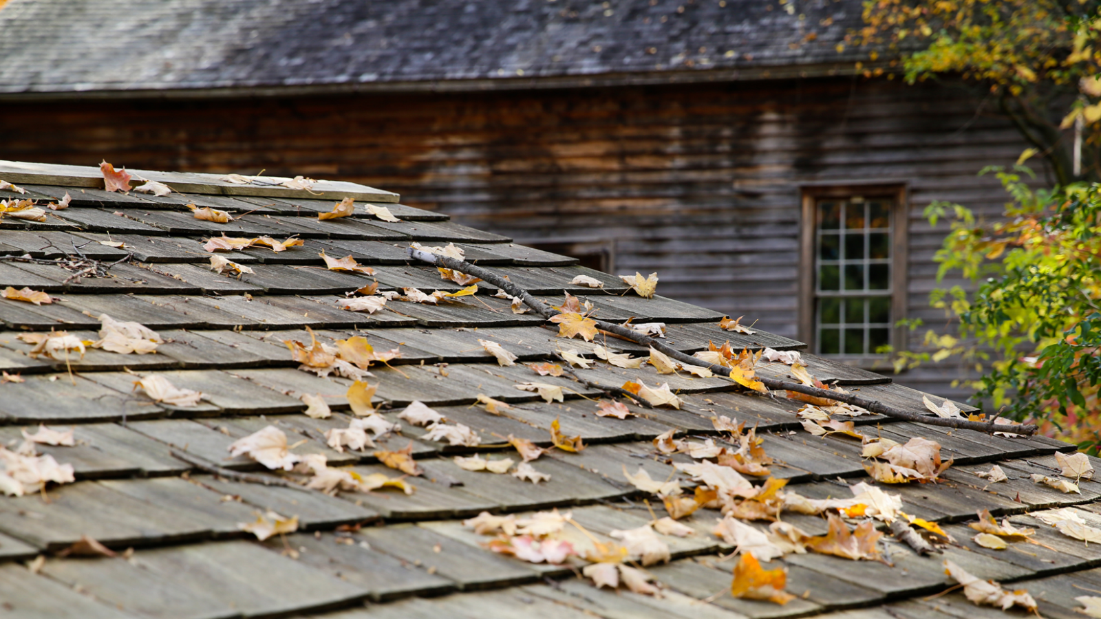 Roofing Company in North Liberty